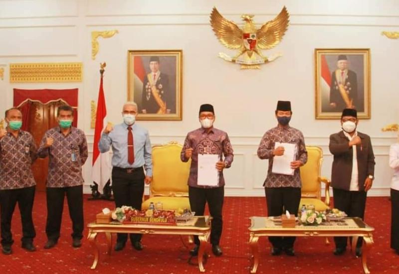 Sinergi