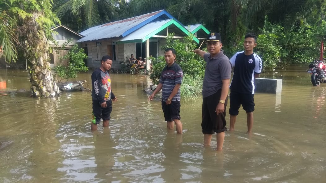 Camat XIV Koto dan Kepala Desa Rawa Mulya saat meninjau lokasi banjir.