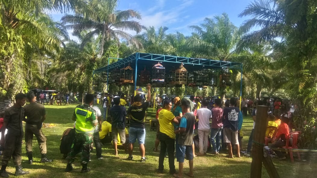 Kicau Mania hut ke-17 Kabupaten Mukomuko.