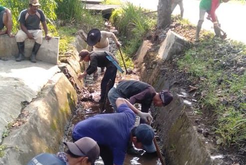Cegah Banjir, PUPR Kota Bersihkan Saluran Irigasi