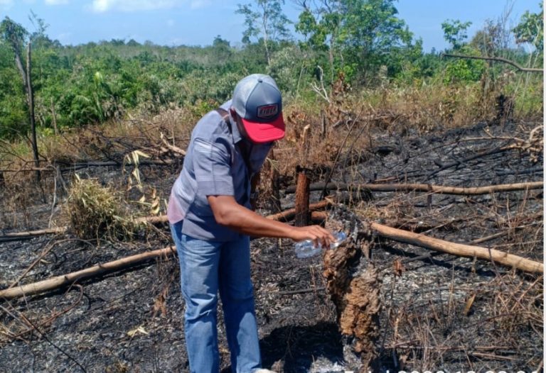 Di Seluma Ditemukan Lahan 1/4 Hektar Terbakar