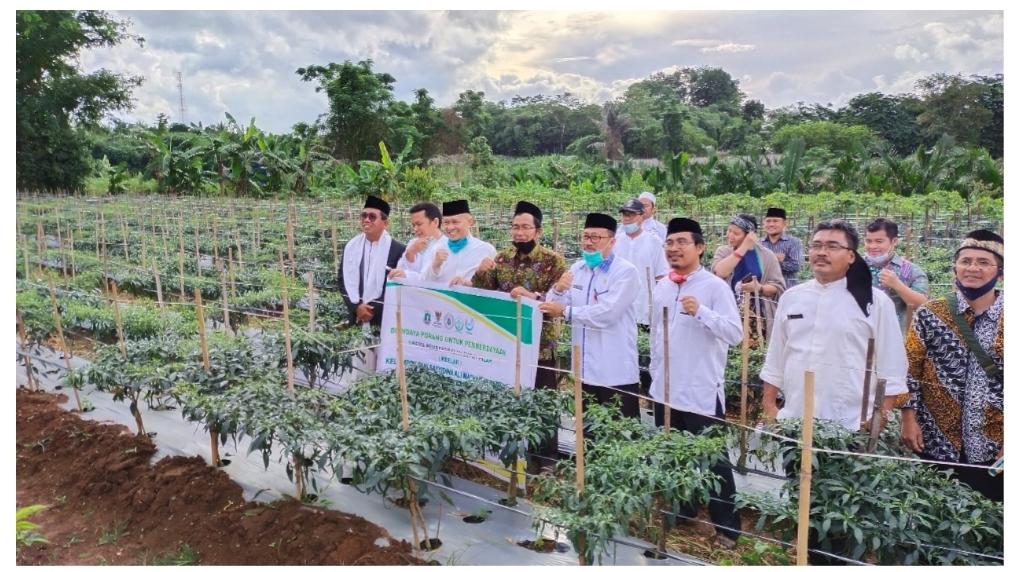 Berdayakan Pertanian Pesantren, Kemenag Gandeng Kementan dan Swasta