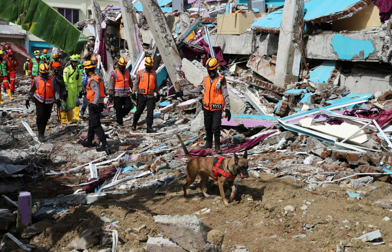 Selama Masuk 2021, Tercatat 185 Bencana Terjadi di Indonesia