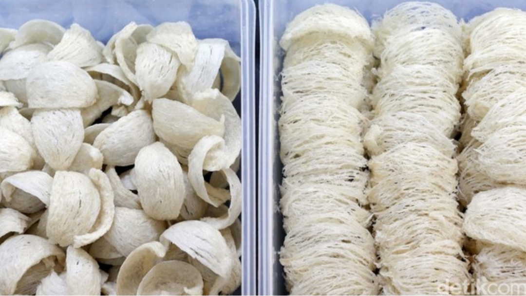 Ekspor Sarang Burung Walet, Pengusaha Wajib Bersertifikat NKV