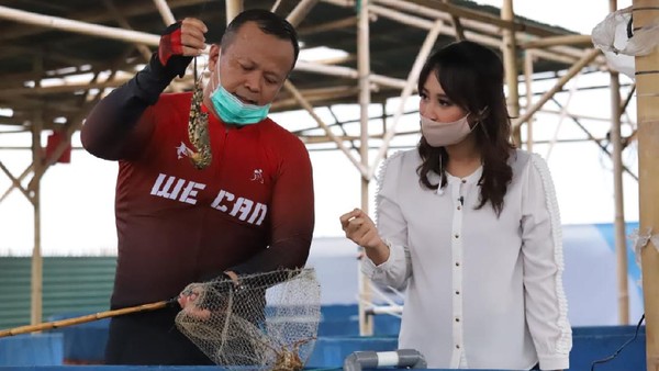 Edhy Prabowo dalam kasus benur