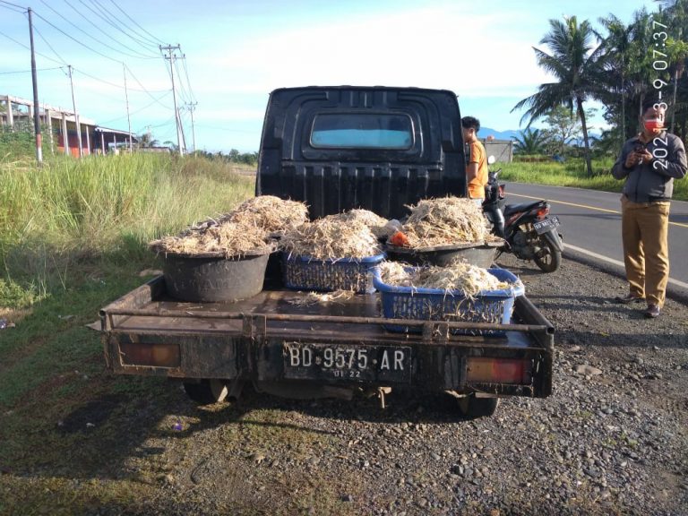 Sampah