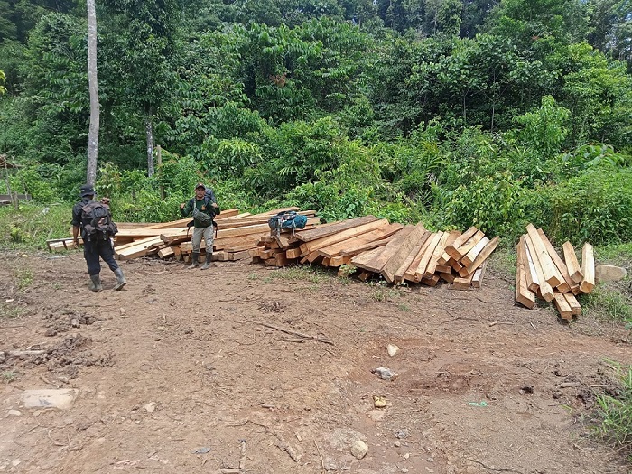 kayu bahan bukti