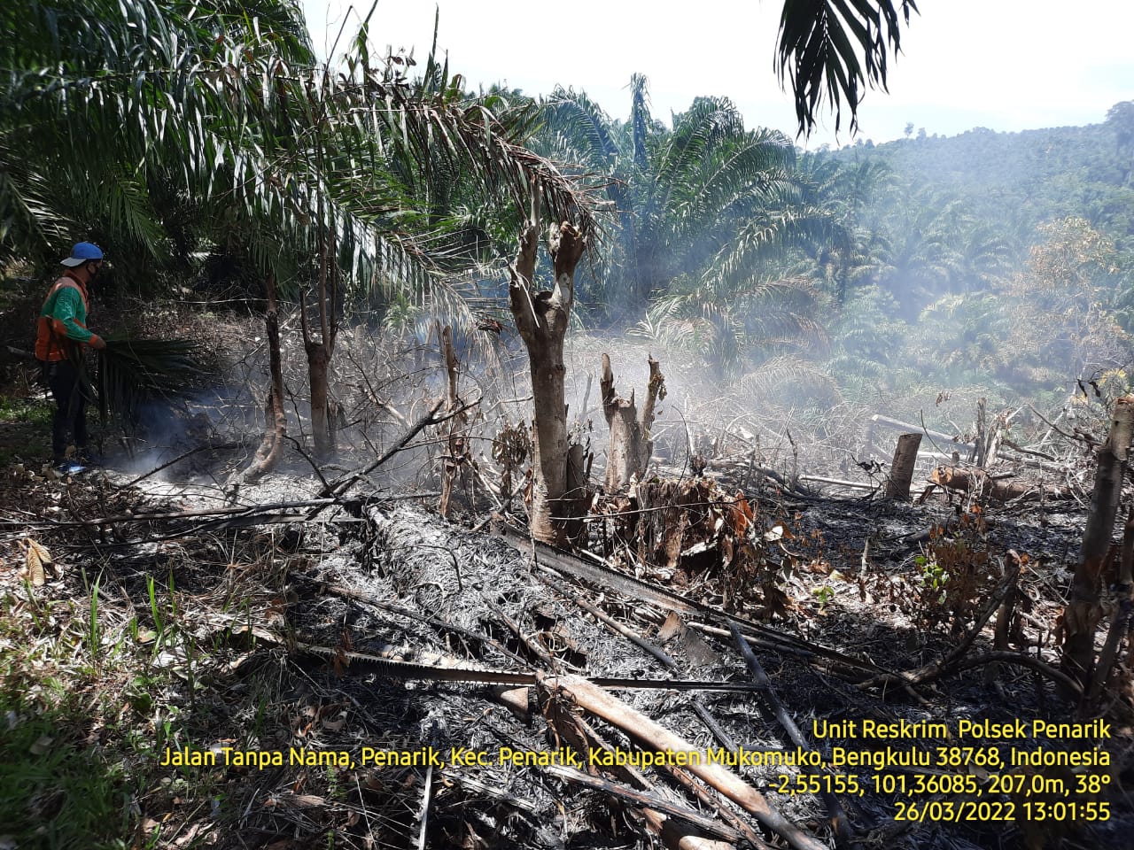 Lahan di Mukomuko terbakar