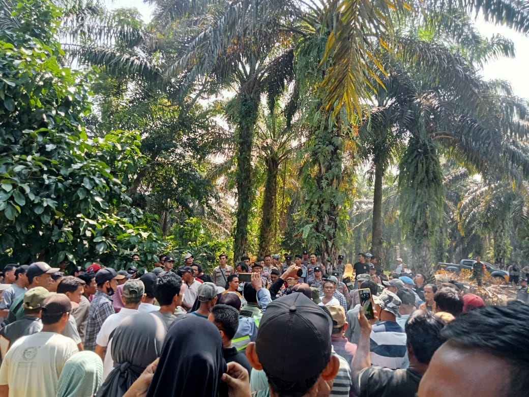 Pembaruan HGU PT BRS Terbit, Camat dan Kades Air Napal tak Menahu