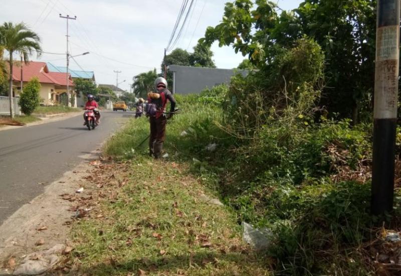  Mulai Tinggi, PUPR Kota Tebas Bayang Rumput Jalan Belibis