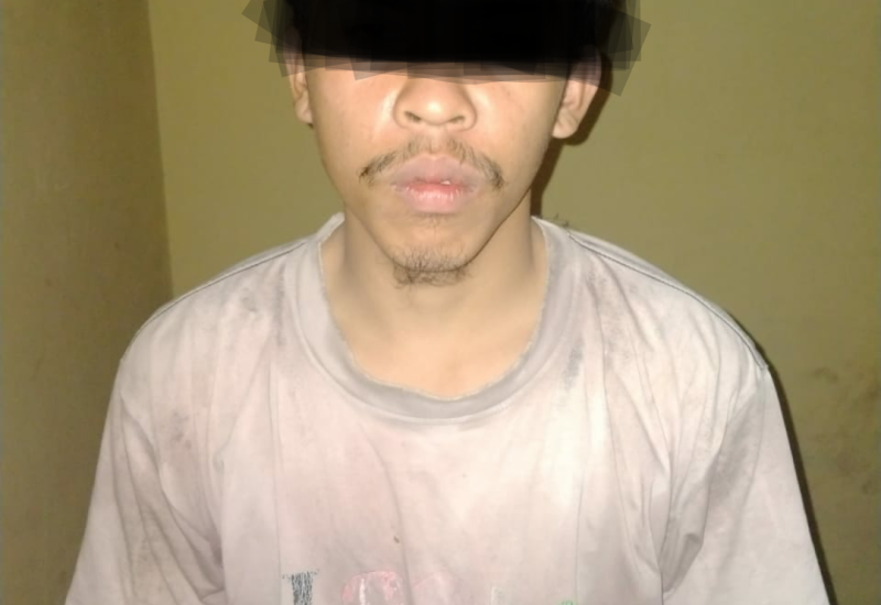 Jadi Korban Curas dan Asusila, IRT Asal Putri Hijau Ini Kejar dan Tangkap Pelaku