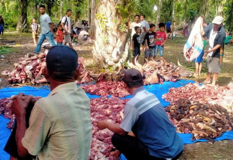 Masjid Jamik Nurul Huda Kecamatan X1V Koto Terbanyak Hewan Kurban di Mukomuko