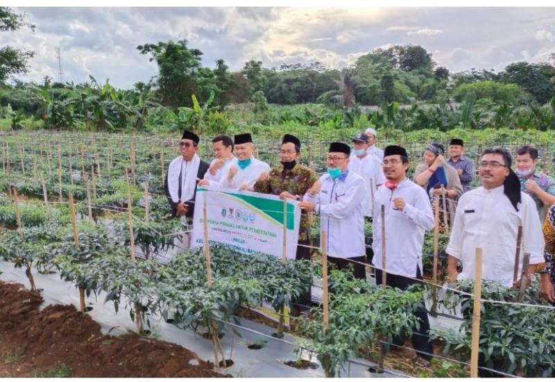 Berdayakan Pertanian Pesantren, Kemenag Gandeng Kementan dan Swasta