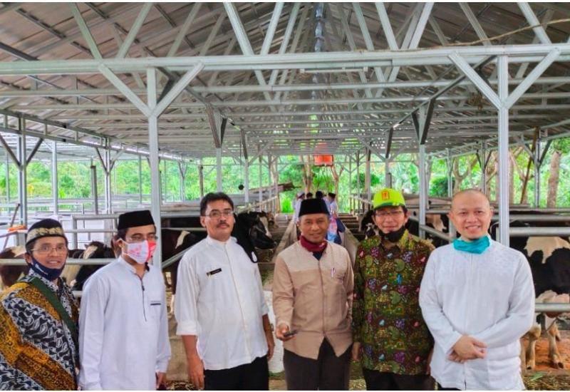 Kembangkan Sapi Perah di Pesantren, Kemenag Jajaki Kerjasama Dinas Peternakan