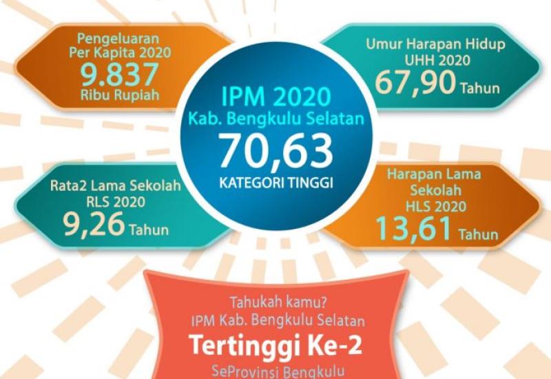 Infografis