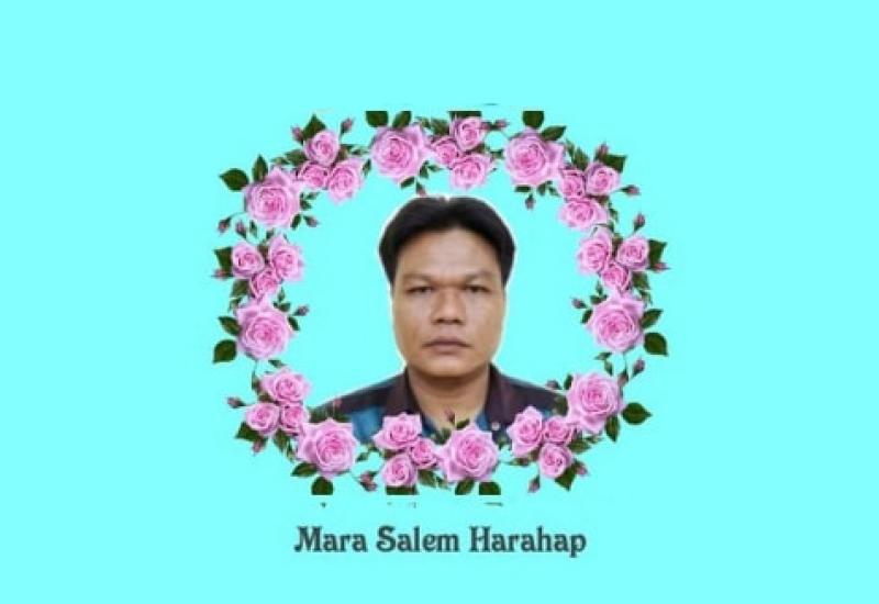 Mara salem
