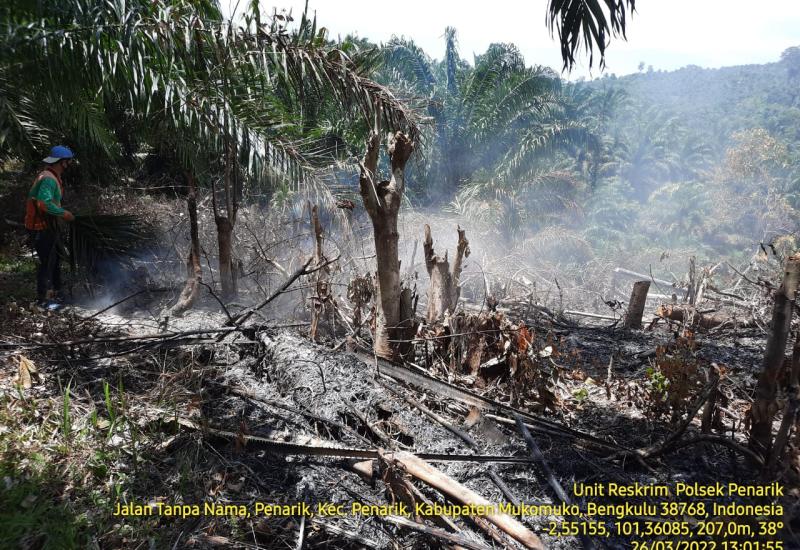 Lahan di Mukomuko terbakar